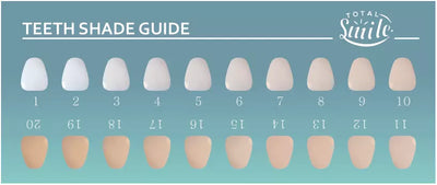 Shade Guide